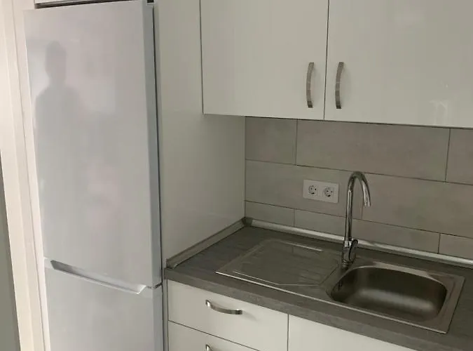 Mom Conchi 莫罗德哈布雷