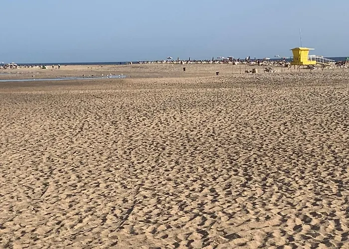 Mom Conchi * 莫罗德哈布雷